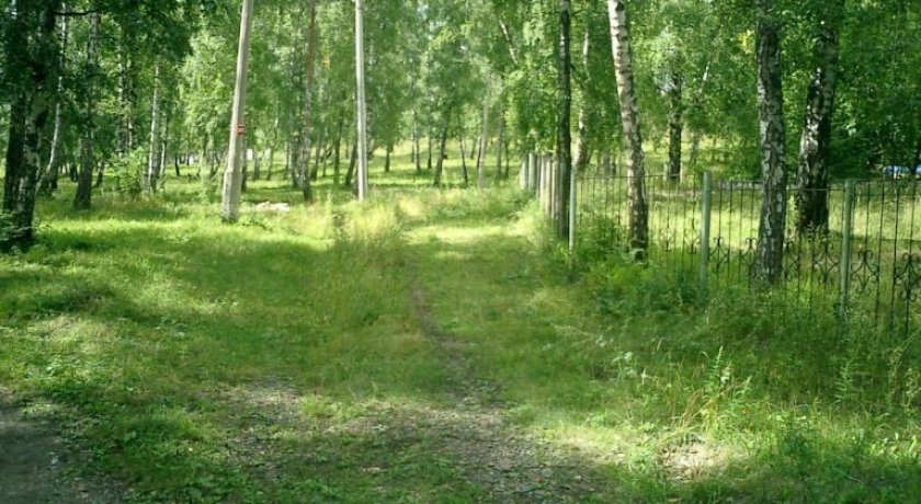 Гостиница Tri Medvedya Красноярск